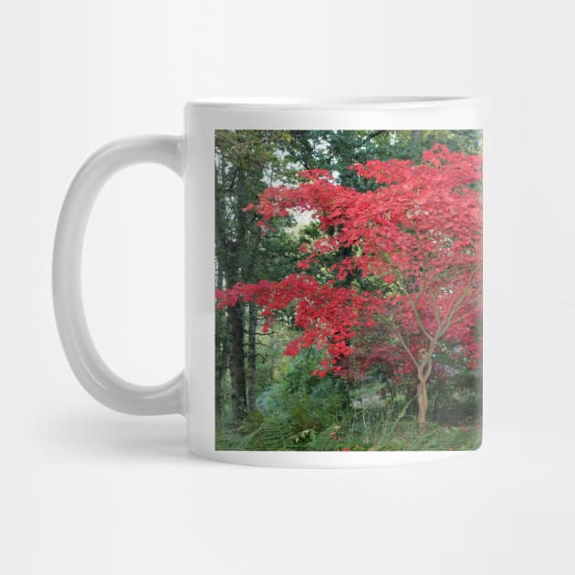 Red Maple Tree by pinkal